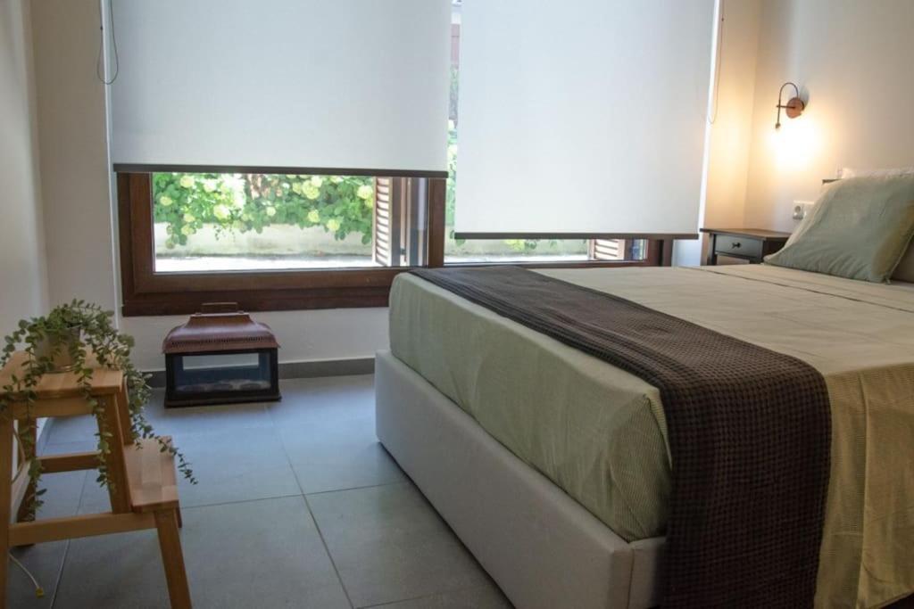 Sirokos House Apartment Agios Ioannis (Thessaly)